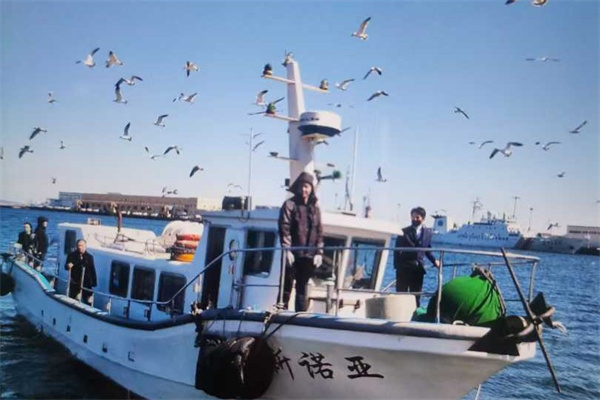 海撒现场